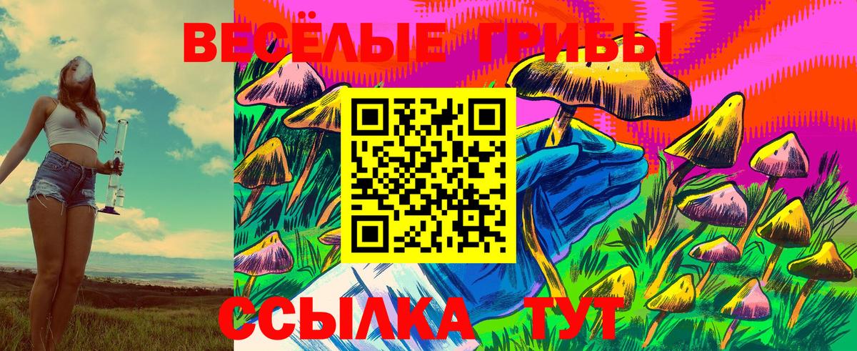 Новосибирск  Галлюциногенные грибы прущие грибы  Псилоцибиновые грибы Cubensis  наркота  Вход с VPN 