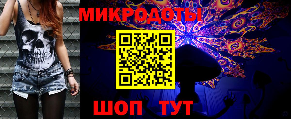 Псилоцибиновые грибы Cubensis Новосибирск